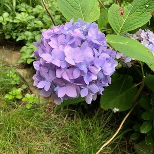 Meet your Posher, Paula